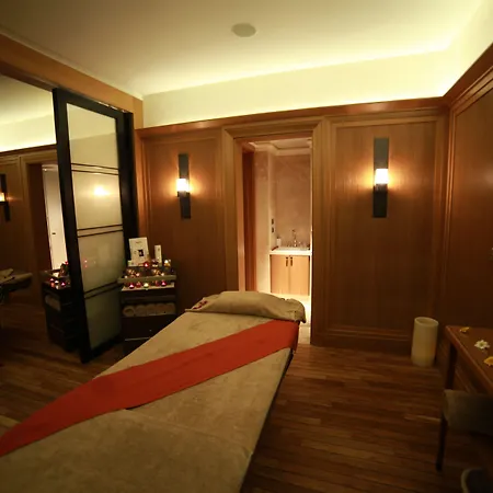 Hotel Divan Stambuł